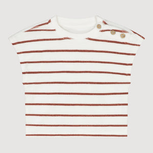 Maple stripe